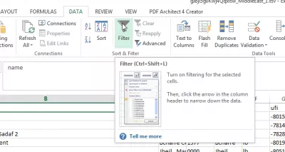 Filtre personalitzat Excel sense dolor en més de 2 criteris : Aplica el filtre estàndard